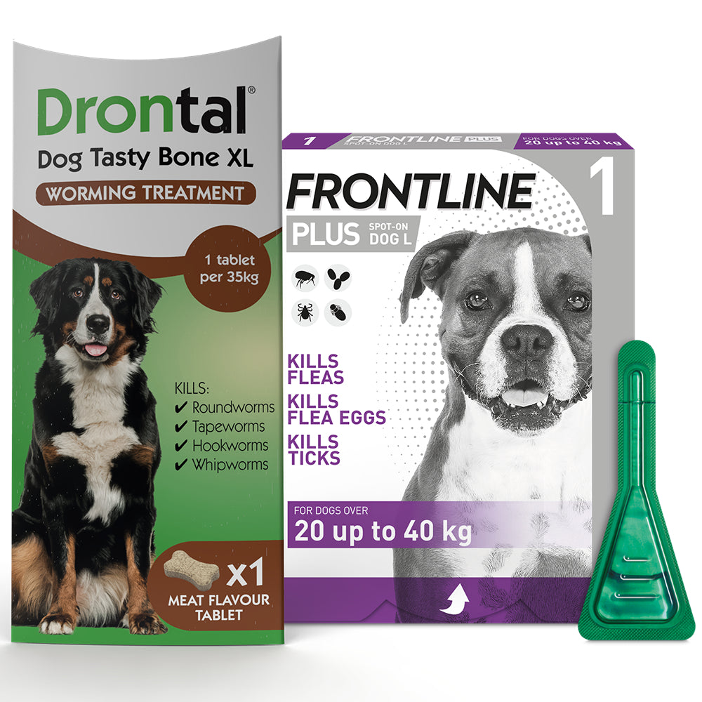 Drontal Worming Tablet & Frontline Plus Flea & Tick Treatment for Large ...