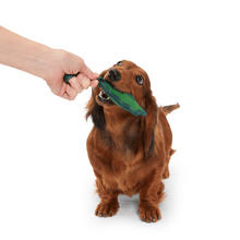 Load image into Gallery viewer, Bark A Green Chew Leaf Dog Toy
