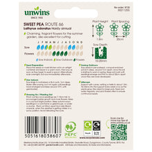 Load image into Gallery viewer, Unwins Sweet Pea Seed Lovers Bundle
