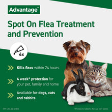 Load image into Gallery viewer, Advantage Spot On Flea Treatment (4 Pack) for Cats, Dogs &amp; Rabbits
