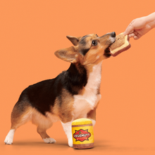 Load image into Gallery viewer, Bark Vegemutt Toast Dog Toy
