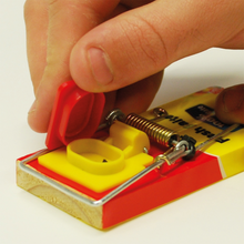 Load image into Gallery viewer, The Big Cheese Fresh Baited Mouse Trap - Twinpack
