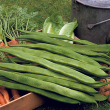 Load image into Gallery viewer, Runner Bean Galaxy
