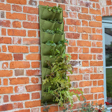 Load image into Gallery viewer, Haxnicks Vigoroot Planter
