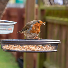 Load image into Gallery viewer, Copdock Mill Dried Mealworms Tubs 120g
