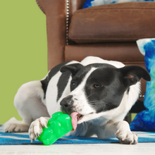 Load image into Gallery viewer, Bark Munchie The Bear Dog Toy
