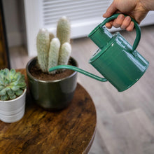 Load image into Gallery viewer, Kent &amp; Stowe Indoor Metal Watering Can Sage Green 1L
