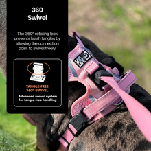 Load image into Gallery viewer, Our Dogs Life Magnetic Lock Lead &amp; Harness Set: Pink

