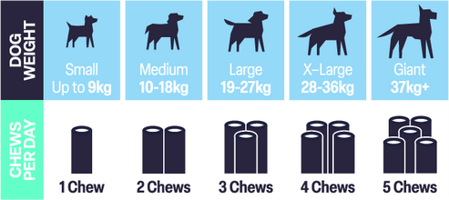 Load image into Gallery viewer, Natural VetCare Health &amp; Wellbeing Chews for Dogs – Age Well, Calm &amp; Settle, Daily Multivitamin, Gut Balance &amp; Mobility – Vet-Formulated Chews
