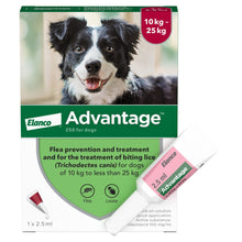 Load image into Gallery viewer, Advantage Spot On Flea Treatment For Cats, Dogs &amp; Rabbits - 1 Pipette

