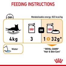 Load image into Gallery viewer, Royal Canin Hair &amp; Skin Care in Jelly Adult Wet Cat Food 12 x 85g
