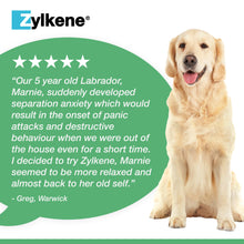 Load image into Gallery viewer, Zylkene Calming Supplement for Dogs 10-30kg
