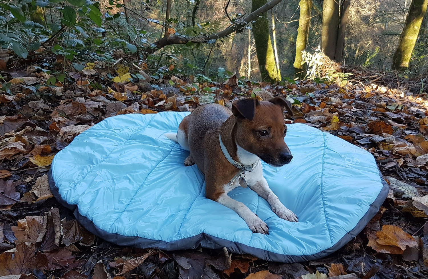 Henry Wag Alpine Travel Snuggle Bed 