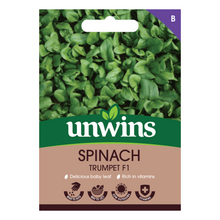Load image into Gallery viewer, Spinach TrumpetFlavour Range
