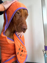 Load image into Gallery viewer, Dot Dot Pet - Highly Absorbent Bamboo Towels for dogs in Small and Medium 
