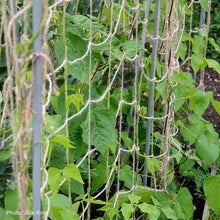 Load image into Gallery viewer, Growers Choice Jute Plant Support Netting - 2m x 5m
