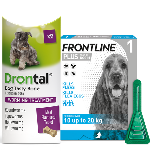 Drontal Worming Tablet & Frontline Plus Spot-On Flea & Tick Treatment for Medium Dogs