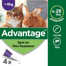 Load image into Gallery viewer, Advantage Spot On Flea Treatment For Cats, Dogs &amp; Rabbits - 4 Pipette Packs
