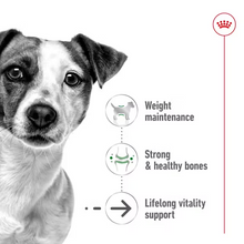 Load image into Gallery viewer, Royal Canin Mini Ageing 12+ 1.5kg
