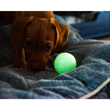 Load image into Gallery viewer, Chuckit! Max Glow Ball – Durable Glow-in-the-Dark Rubber Fetch Ball for Dogs, No Batteries Needed, Compatible with Chuckit! Launchers, Ideal for Night-Time and Early Morning Play
