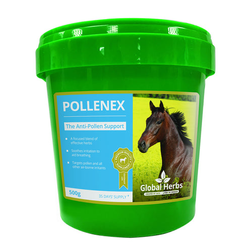 Global Herbs Pollenex Supplement - 500g 