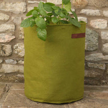 Load image into Gallery viewer, Haxnicks Vigoroot Planter
