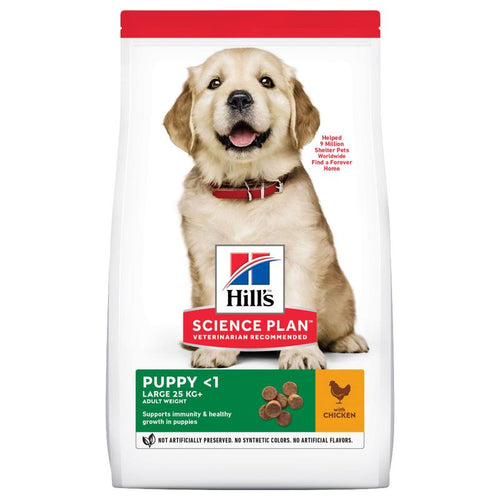 Hill's Science Plan Large Breed Puppy Dry Food With Chicken 16kg Bag