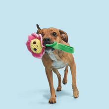 Load image into Gallery viewer, Bark Penny Pechewnia Dog Toy
