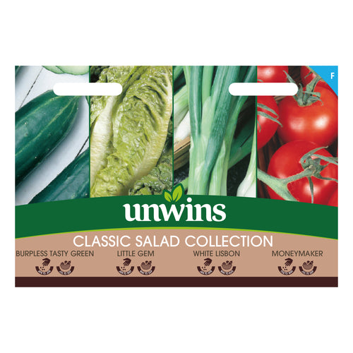 Salad Classic Collection Pack