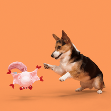 Load image into Gallery viewer, Bark Sydney Sugar Glider Dog Toy
