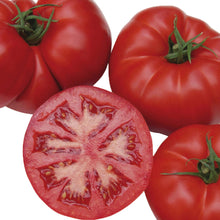 Load image into Gallery viewer, Unwins Seeds - Organic
