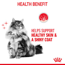 Load image into Gallery viewer, Royal Canin Hair &amp; Skin Care in Jelly Adult Wet Cat Food 12 x 85g
