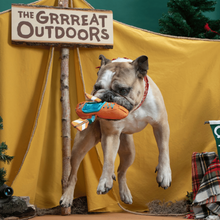 Load image into Gallery viewer, Bark Off-Track Kayak Dog Toy
