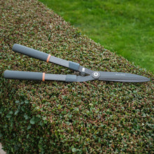 Load image into Gallery viewer, Kent &amp; Stowe Traditional Hedge Shears

