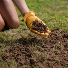 Load image into Gallery viewer, Westland Lawn &amp; Turf Dressing 25 Litre
