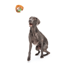 Load image into Gallery viewer, Bark Sonny The Sloth Dog Toy
