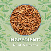 Load image into Gallery viewer, Copdock Mill Dried Mealworms Tubs 120g
