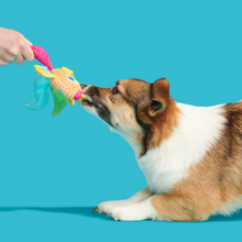 Load image into Gallery viewer, Bark Ahi Tina Dog Toy
