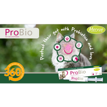 Load image into Gallery viewer, Mervue ProBio Paste For Cats &amp; Kittens - Gut Health &amp; Immunity
