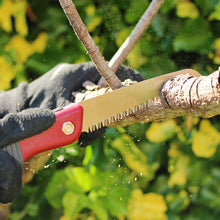 Load image into Gallery viewer, Kent &amp; Stowe Pruning Saw &amp; Turbo Saw
