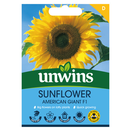 Sunflower American Giant F1