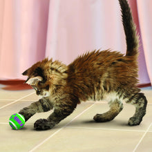 Load image into Gallery viewer, KONG Cat Active Tennis Balls w/Bells
