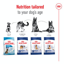 Load image into Gallery viewer, Royal Canin Maxi Adult Dry Dog Food - All Sizes
