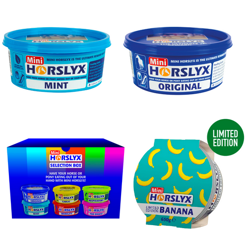 Horslyx Mini Licks - Various Options 