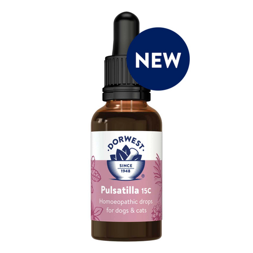 Pulsatilla 15C 15ml Liquid For Cats & Dogs