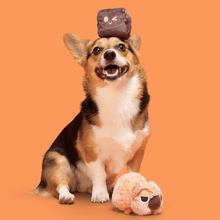 Load image into Gallery viewer, Bark Walken Wombat Dog Toy
