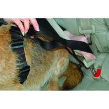 Load image into Gallery viewer, Clix CarSafe Dog Seat Belt Harness X-Small
