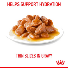 Load image into Gallery viewer, Royal Canin Hairball Care Wet Food In Gravy Or Jelly 12 x 85g
