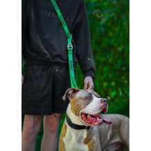 Load image into Gallery viewer, Twiggy Tags Awareness Multi-Way Lead
