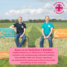 Load image into Gallery viewer, HayDay Sweet and Munchy Ryegrass
